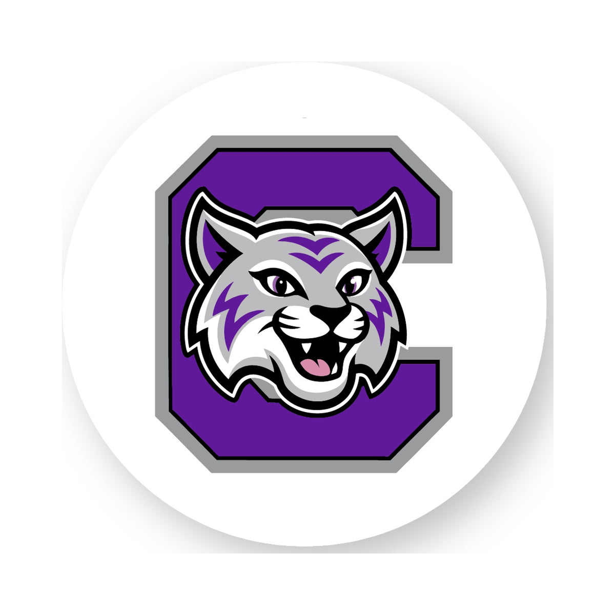 Wildcats 4" Magnet